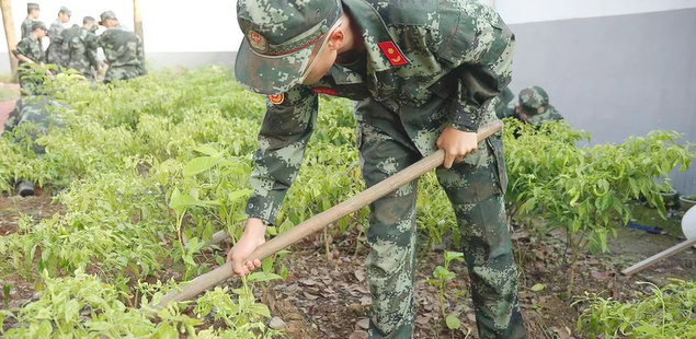 专门教育学校劳动体验教育