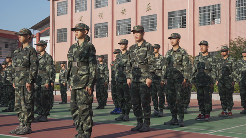 青春期青少年心理问题特训学校详析(图1)