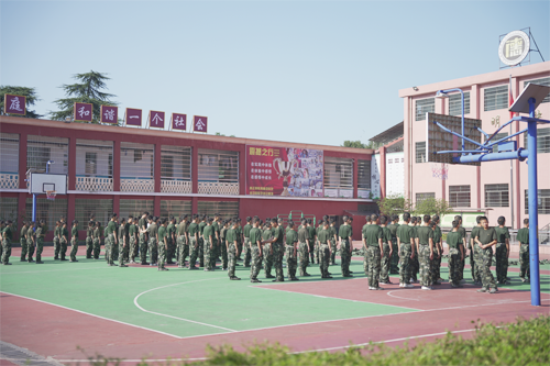 免费咨询(图2)